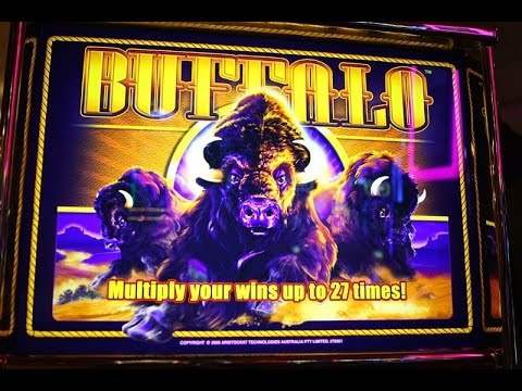 Big Win On Buffalo Slot Machine